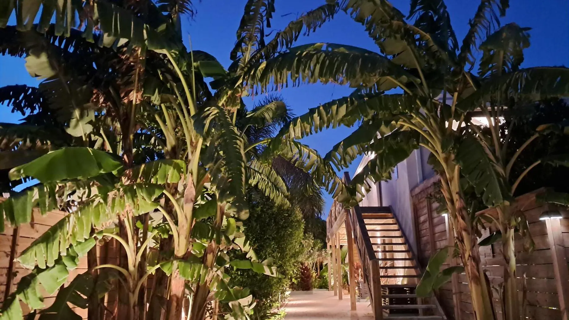 The Forest - Saint Martin 4 Etoiles Cul de Sac Sint Maarten